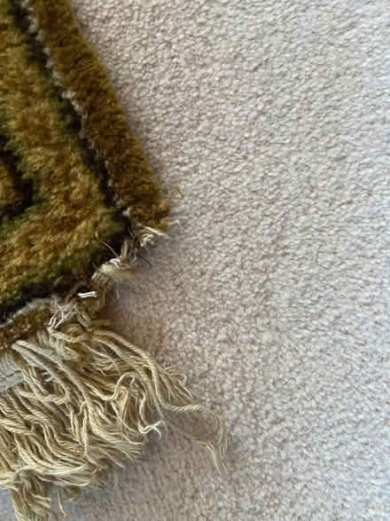 Photo of free Rug (Blackford EH9) #1