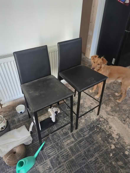 Photo of free 2 bar stools (Harmans Water RG12) #1