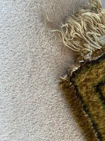 Photo of free Rug (Blackford EH9) #4