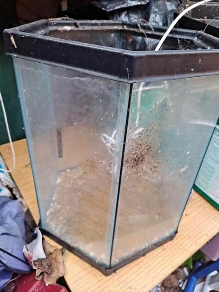 Photo of free 2 small aquariums and accessories (Wollaton Park, NG8) #2
