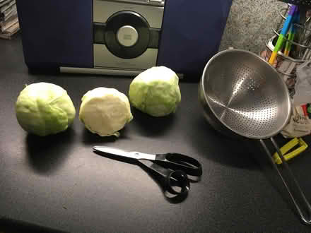 Photo of free Small cabbages for domestic animals? (Springfield MK6) #2
