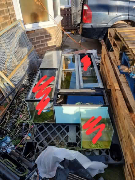 Photo of free four fish tanks (Huyton L36) #1