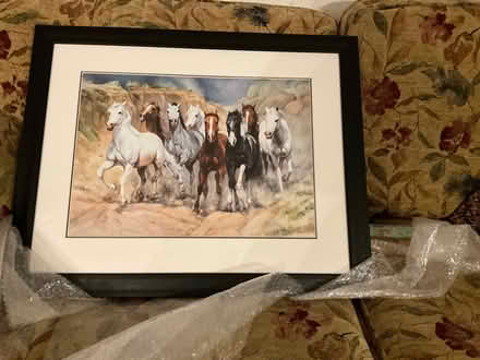 Photo of free Painting (Magheralave BT28) #1