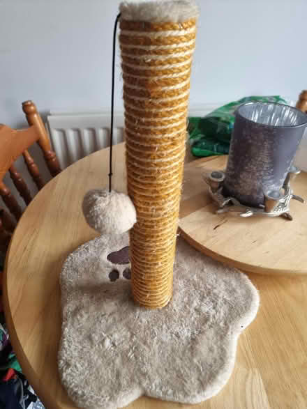 Photo of free Cat scratch post (Stonehouse) #1