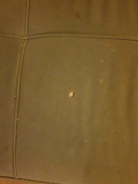 Photo of free Sofabed (Langley) #3