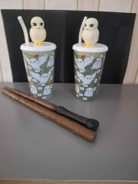 Photo of free Harry Potter items (Belper DE56) #1