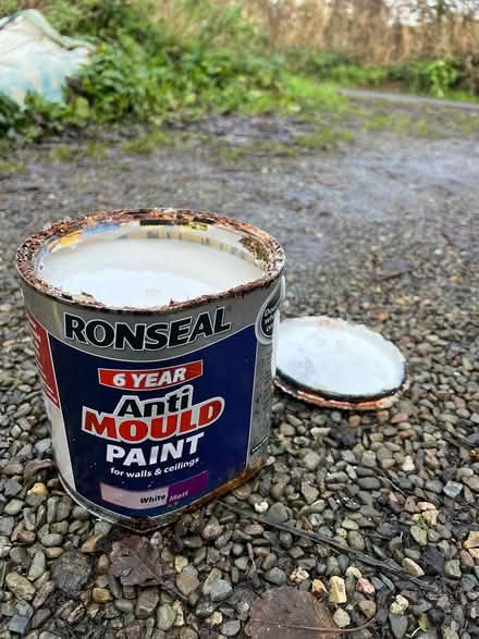 Photo of free Anti mould paint (white matt) (Willey) #1