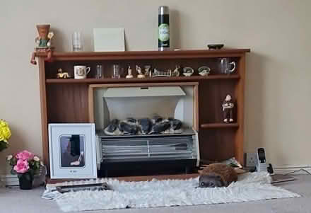 Photo of free Mantlepiece (LL30) #1