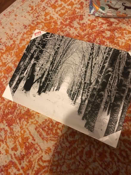 Photo of free Large snowy scene canvas (Bedfont TW14) #1