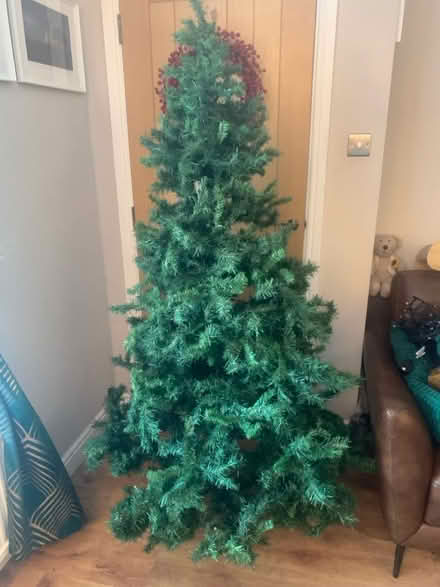 Photo of free 6 ft Christmas tree (Belle Isle LS10 Leeds) #1