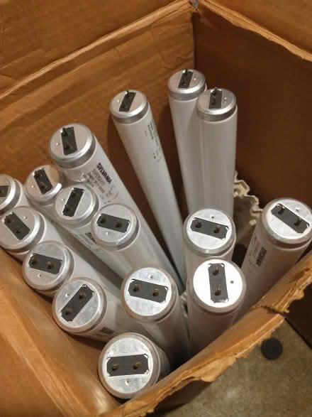 Photo of free Flourescent Tube Light Bulbs (Oregon) #2
