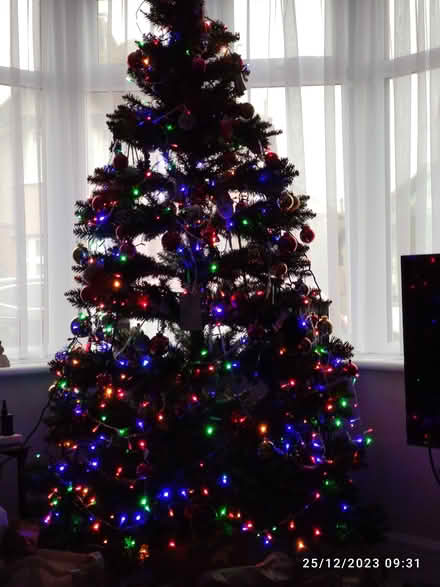 Photo of free Christmas tree (CT5) #1