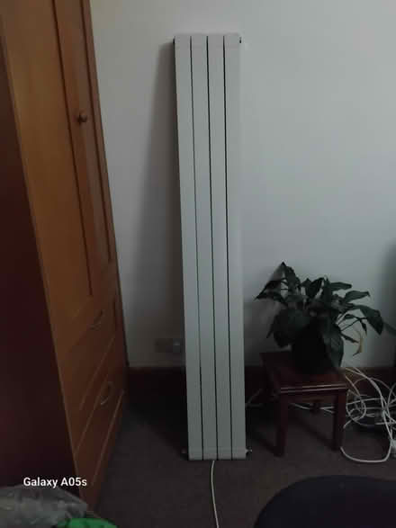 Photo of free tall bathroom radiator for central heating system (Catford South SE6) #1