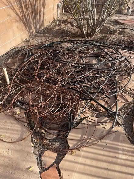 Photo of free Irrigation and drip tubing (Bernalillo west of river) #1