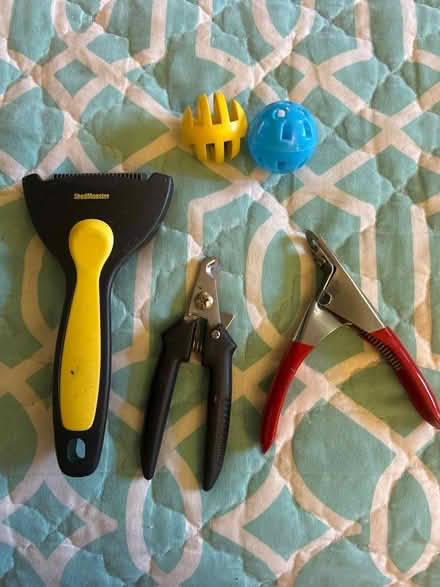 Photo of free Pet nail trimmers and fur comb (10011 (17th & 9th)) #1