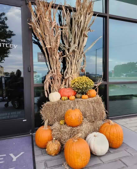 Photo of free Pumpkins & Hay Bales (76102) #1