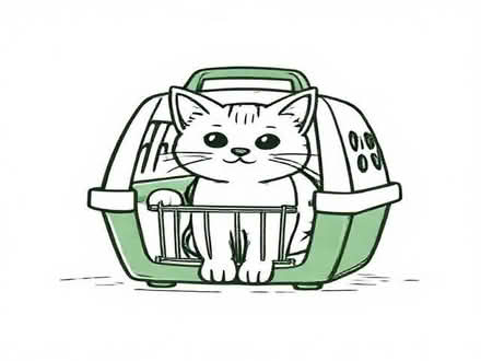 Photo of free Cat carrier. (Pangbourne RG8) #1