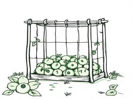 Photo of 6 ft stakes x12 make fruit cage (Tunbridge Wells N. TN1) #1