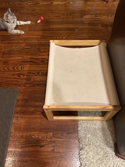 Photo of free Cat Lounger (Greenburgh/White Plains) #4