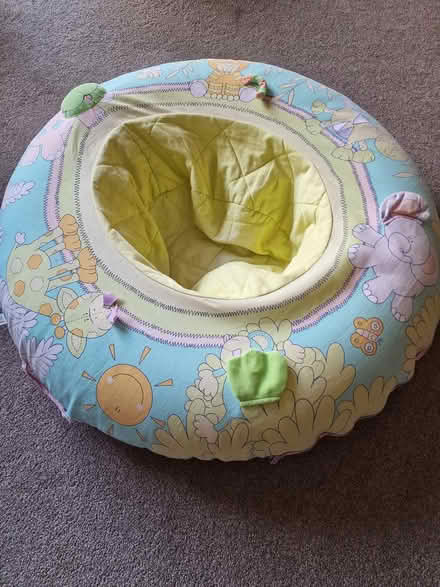 Photo of free Baby seat (Layer-de-la-Haye CO2) #1