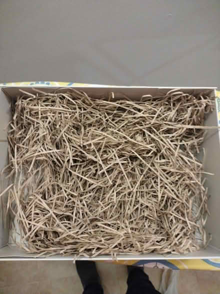 Photo of free Smart box for gift or post (Norwich NR7) #1