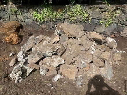 Photo of free Volcanic rock (Mount Eden) #1