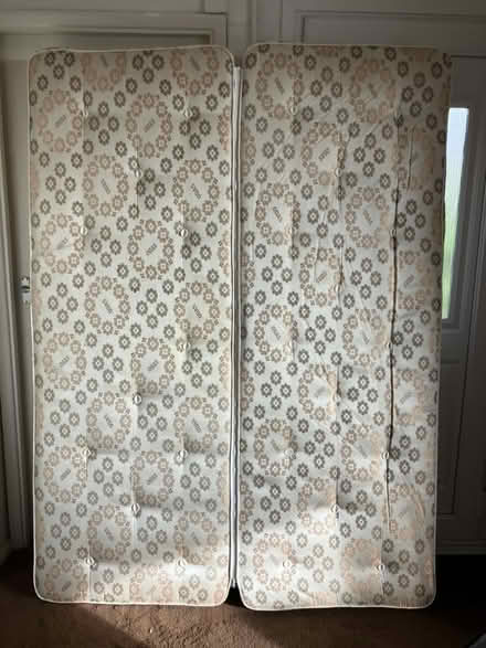 Photo of free Double mattress (Rattery TQ10) #1