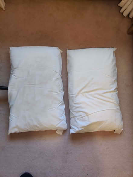 Photo of free 2 pillows (Temple Fortune NW11) #1