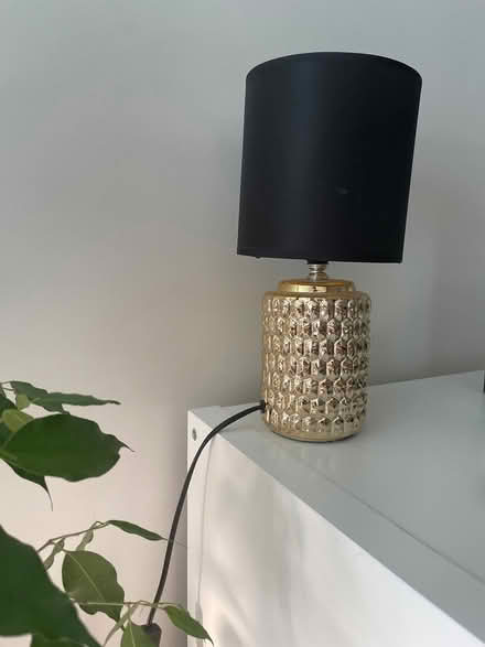 Photo of free Lamp (Bath, Oldfield) #1