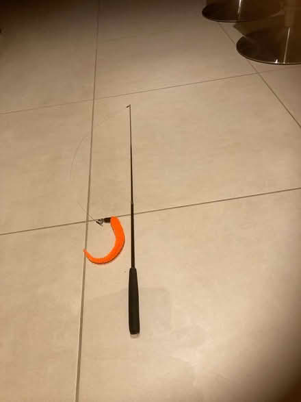 Photo of free Cat Toy (Shenfield CM15) #1