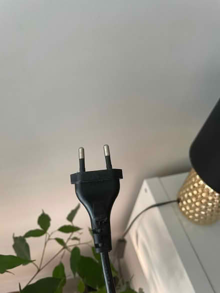 Photo of free Lamp (Bath, Oldfield) #2