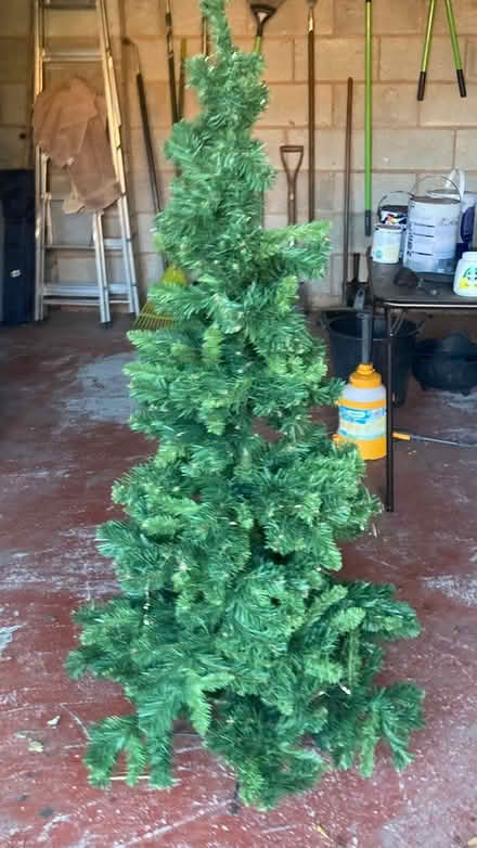 Photo of free Christmas tree (L37) #1