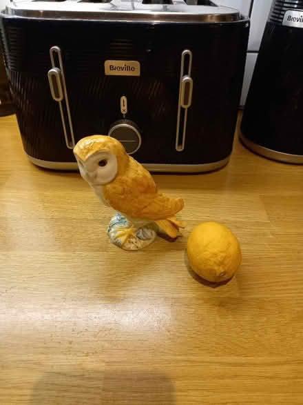 Photo of free A beautiful Owl ornament (Roundhill area brighton) #1