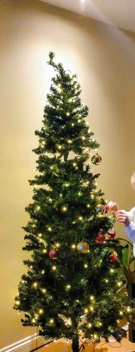 Photo of free Christmas tree to giveaway (Boroimhe, Swords) #1