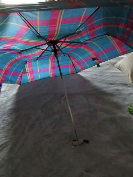 Photo of free Jones New York mini umbrella (North Cambridge) #2