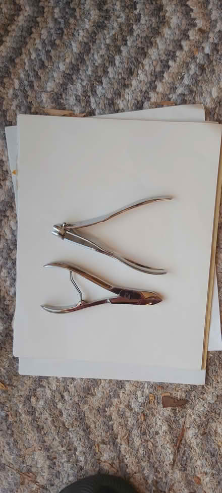 Photo of free Dog nail clippers (Ramsden Heath CM11) #2