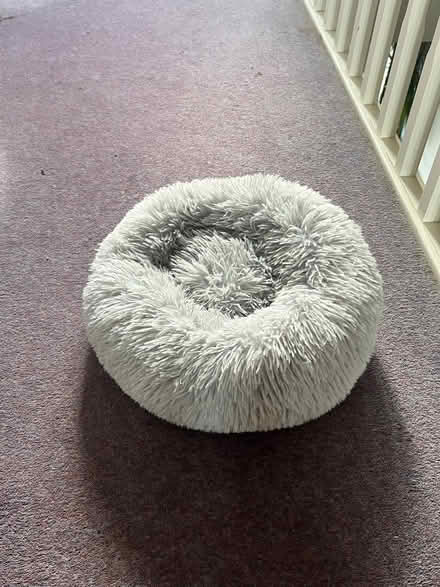 Photo of free Cat bed (Langney BN23) #1