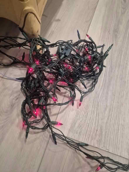 Photo of free Holiday Lights (Abington) #1