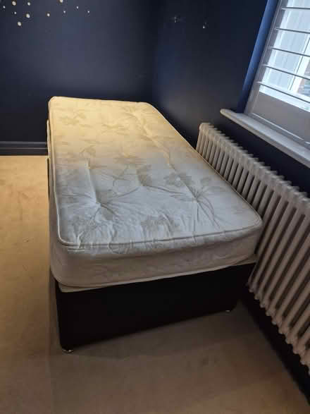Photo of free Single Bed pull out trundle (KT7) #4