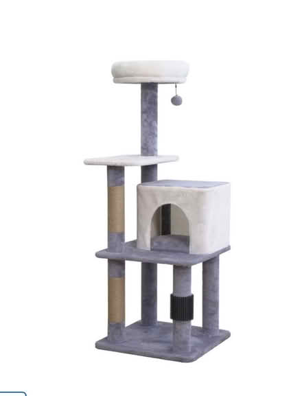 Photo of Cat tree (Burnhamthorpe and Tomken) #1
