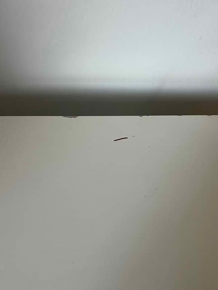 Photo of free IKEA KALLAX 2x4 cube shelving unit (Hackney Downs E5) #1