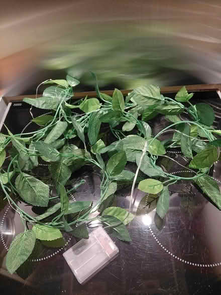 Photo of free Leafy fairy lights (Shap CA10) #1