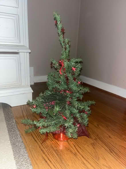 Photo of free Mini Christmas tree (Royal Oak, MI) #1