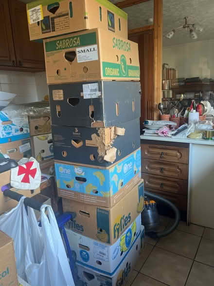 Photo of free Bocsys bananas - Banana boxes (Glanadda LL57) #1