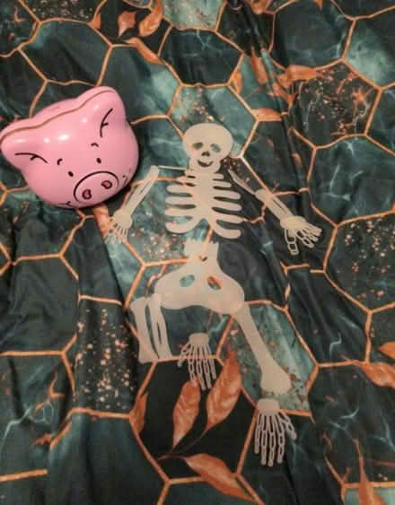 Photo of free Percy pig tin and skeleton bits (Kempston MK42) #1