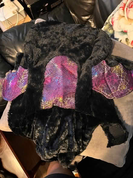 Photo of free Dog Halloween Costume (BR1) #3