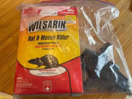 Photo of free Wilsarin - rat and mouse control (Wellington West) #1