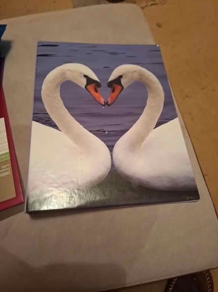 Photo of free Ring binder & doc wallets (Threemilestone Truro) #3