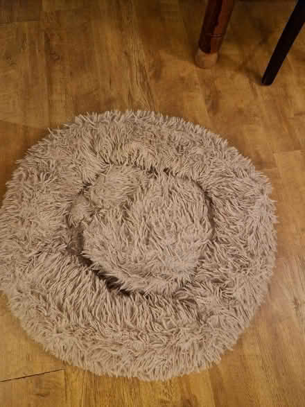 Photo of free Large donut pet bed (Up Hatherley GL51) #1