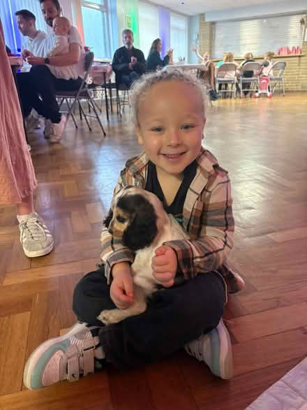 Photo of free Cream upholstered sofa (Boothstown M28) #2